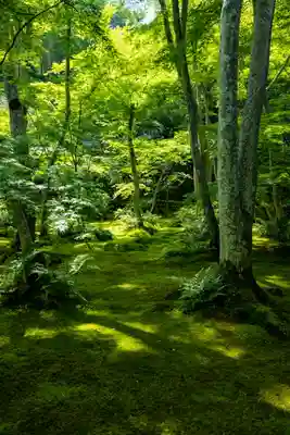 祇王寺(京都府)