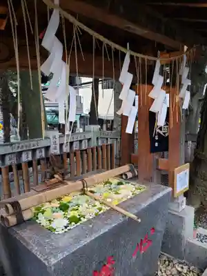 高円寺氷川神社の手水舎
