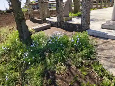 天満宮（伏木香取神社境外社）の自然