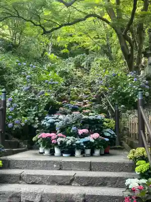 長谷寺(奈良県)