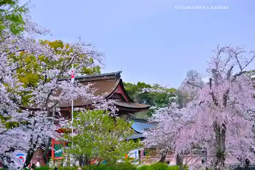富士山本宮浅間大社(静岡県)