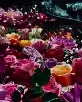 札幌諏訪神社の手水舎