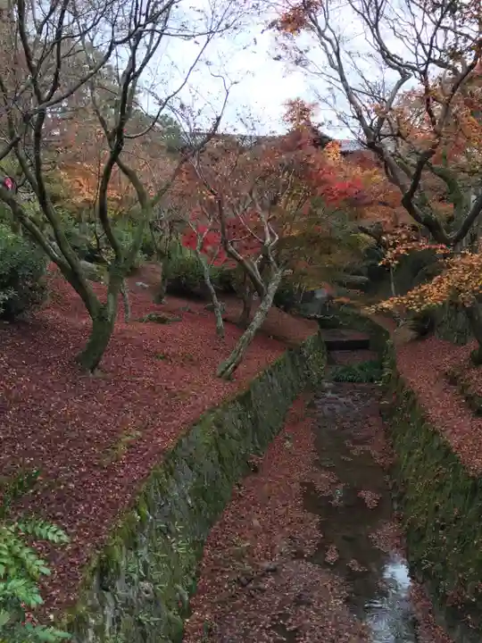 東福禅寺(東福寺)の自然