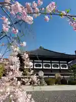 如宝寺(福島県)