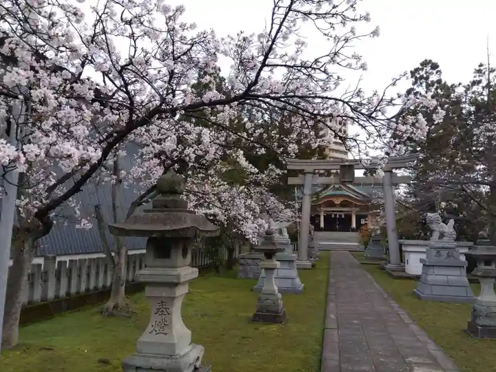 櫻谷神社(福井県)
