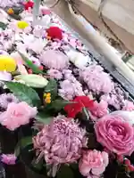 鳩森八幡神社(東京都)