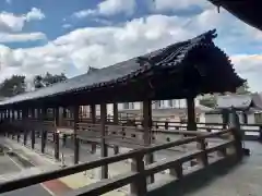 知恩院の建物その他