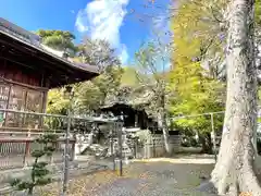 八幡神社(滋賀県)