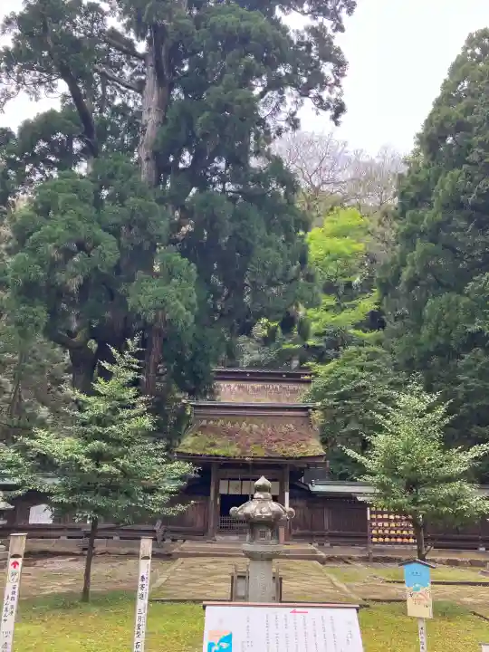 若狭姫神社(若狭彦神社下社)の{uncategorized: "未分類", other: "その他", undefined: "問題あり", building: "その他建物", grave: "お墓", sacred_gate: "鳥居", guardian: "狛犬", statue: "像", buddha: "仏像", history: "歴史", nature: "自然", garden: "庭園", animal: "動物", pagoda: "塔", temizu: "手水舎", mountain_gate: "山門・神門", sanctuary: "本殿・本堂", subordinate: "末社・摂社", art: "芸術", scenery: "景色", jizo: "地蔵", ema: "絵馬", goshuin: "御朱印", omikuji: "おみくじ", items: "授与品その他", amulet: "お守り", goshuincho: "御朱印帳", eats: "食事", festival: "お祭り", votive_dance: "神楽", shichigosan: "七五三参", wedding: "結婚式", experience: "体験その他", initially: "初詣", around: "周辺", anti_infection: "感染症対策"}