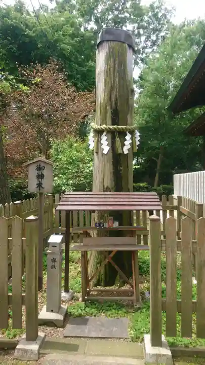 御野縣主神社(大阪府)