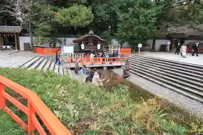 賀茂御祖神社（下鴨神社）のその他建物