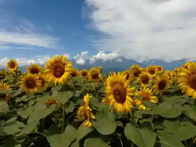 身曾岐神社(山梨県)