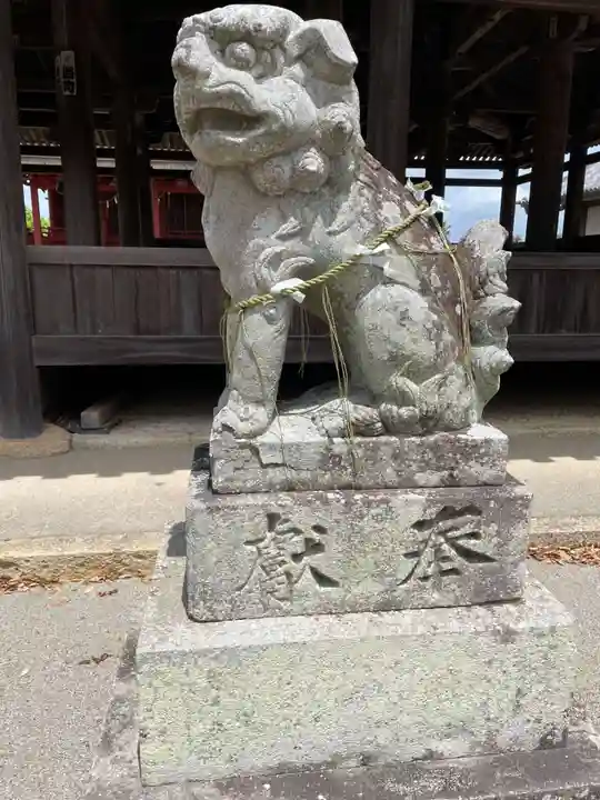 浄土寺の狛犬