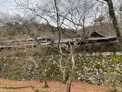 勝持寺（花の寺）(京都府)