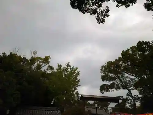 八坂神社(祇園さん)の自然