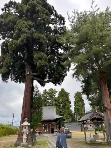八幡宮(新潟県)