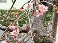 伊勢の国 四天王寺の自然