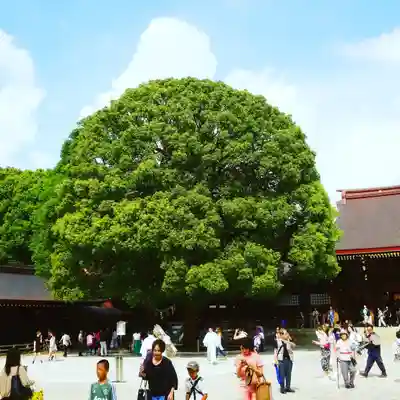 明治神宮のその他建物