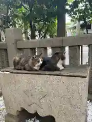 小野照崎神社(東京都)