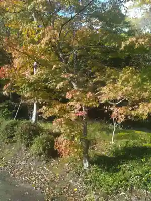 西円寺(宮城県)