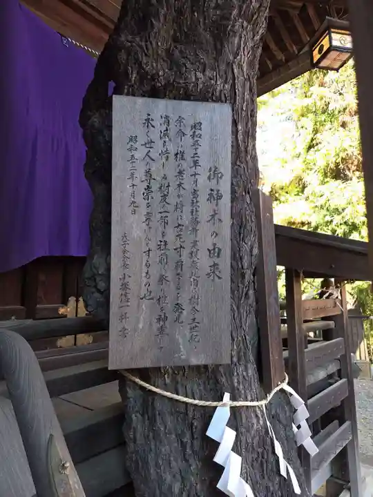 子之神社(神奈川県)