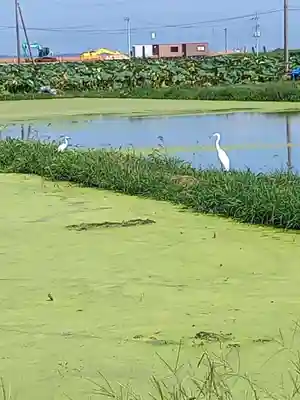 水天宮(茨城県)