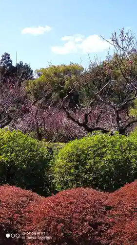 隨心院（随心院）の自然
