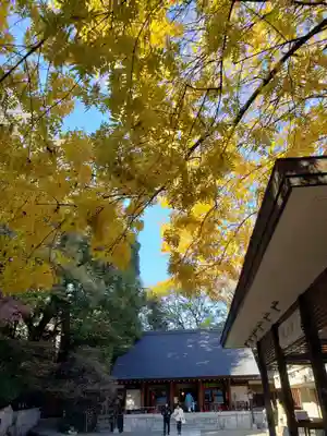乃木神社(東京都)