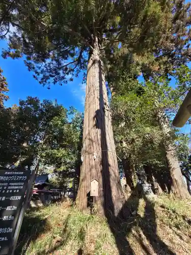 鷲神社(茨城県)