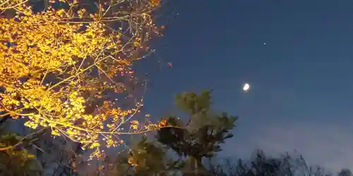 賀茂御祖神社（下鴨神社）の景色