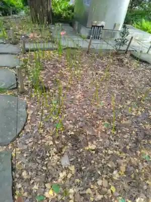 横浜　西方寺(神奈川県)