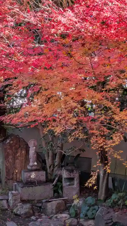金臺寺(金台寺)(京都府)