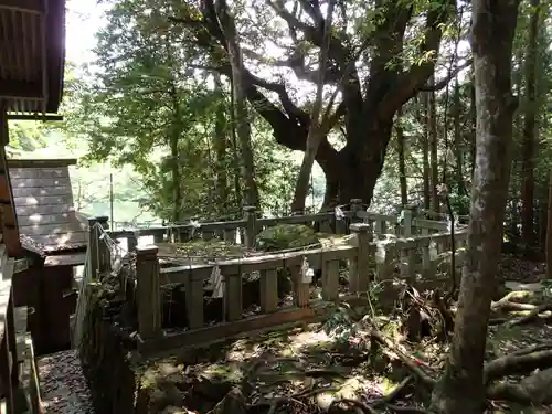 赤猪岩神社の建物その他