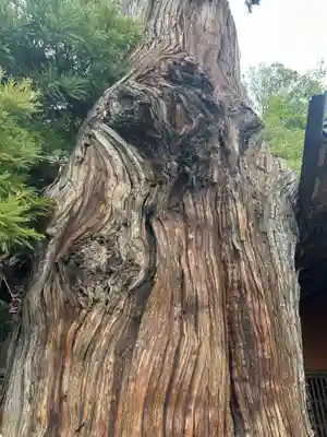 勝山八幡神社(山梨県)