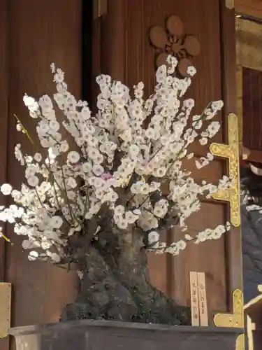 湯島天満宮(東京都)