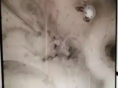 霊源院(京都府)