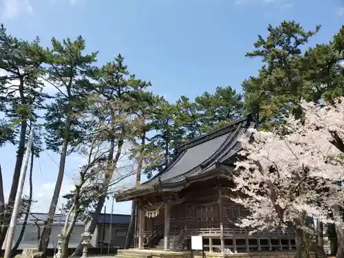 秋葉神社の本殿・本堂