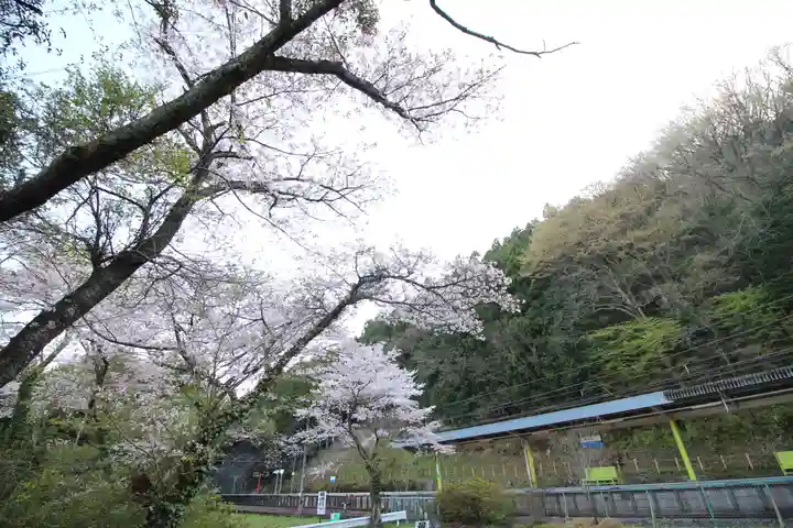 天神社(埼玉県)