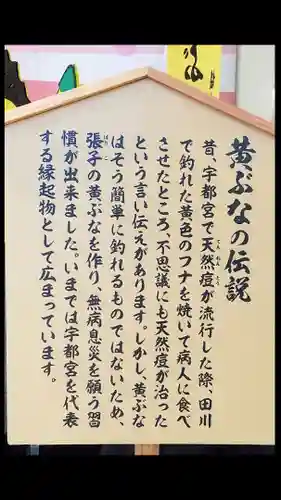 黄ぶな大明神の歴史