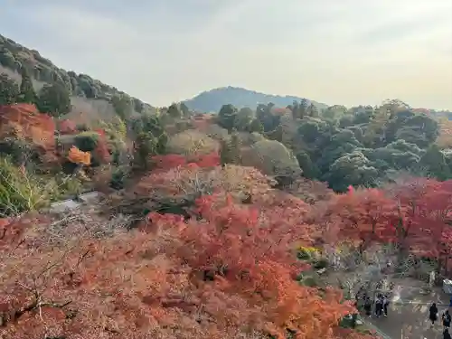 清水寺の景色