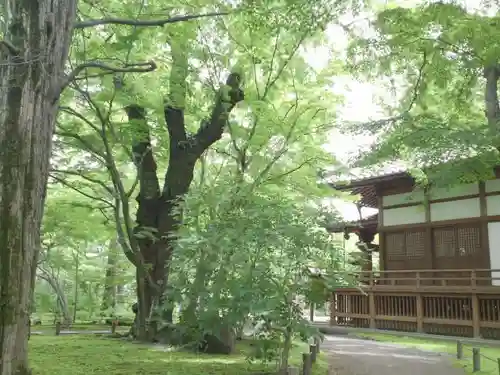 懐古神社の建物その他