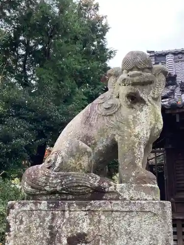 八坂大神の狛犬