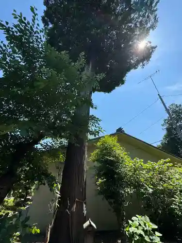 伊奈冨神社(三重県)