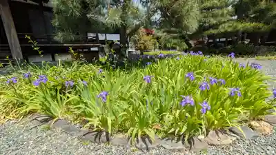 得浄明院(善光寺別院)(京都府)
