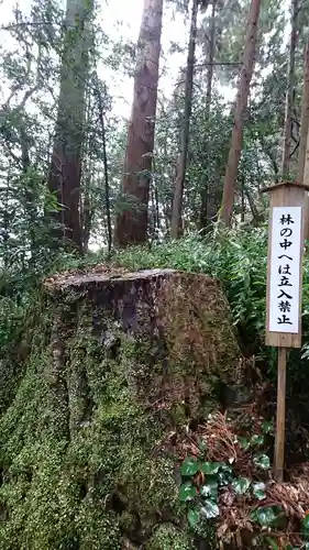 高千穂神社の自然