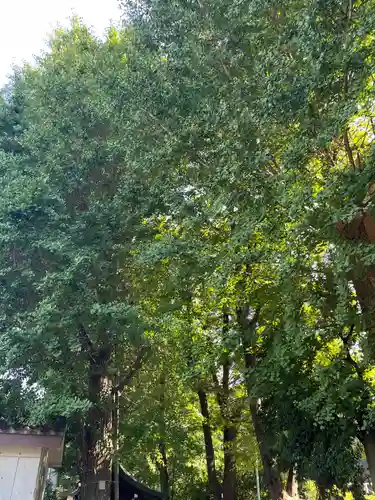 穏田神社(東京都)