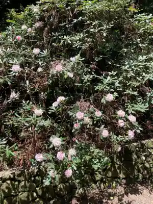船宿寺(奈良県)