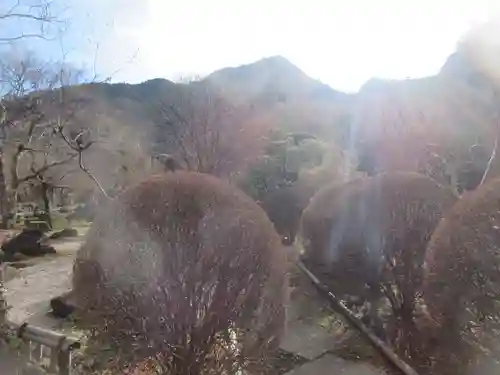 長泉院(埼玉県)