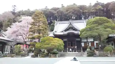 修禅寺の本殿・本堂
