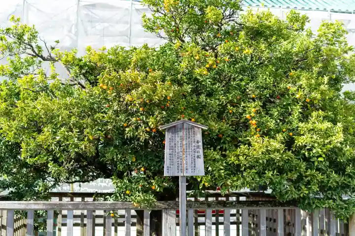 平安神宮(京都府)
